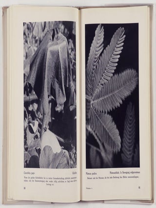 Die Pflanze als Lebewesen (The Plant as Living Creature)