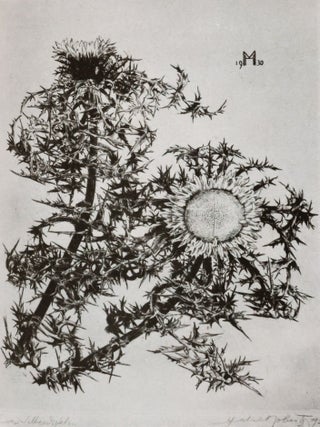 Deutsche Kunst und entartete "Kunst" (German Art and Degenerate "Art")