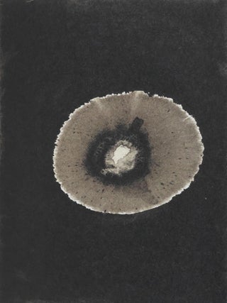 Item #51913 In Formation. Antony Gormley, Thalia Allington-Wood, Christian Berger, Essays