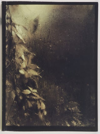 Item #52188 Ruze pro Josefa Sudka 1896–1976 (A Rose for Josef Sudek 1896–1976). Jaroslav...