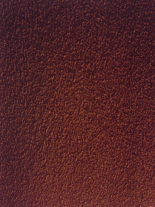 Item #52245 Desert Cantos del desierto 1979–1999. Richard Misrach, Myriam Weisang Misrach,...