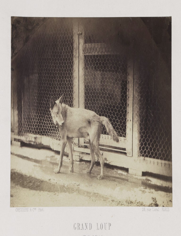 Item #53167 La Chasse du Loup (The Wolf Hunt) [SIGNED, W/ AN ADDITIONAL PHOTOGRAPH]. J. E. H. Le Couteulx de Canteleu, L&eacute;on Cr&eacute;mi&egrave;re, Franz Hanfstaengl, photographs by, Jean-Emmanuel Hector.