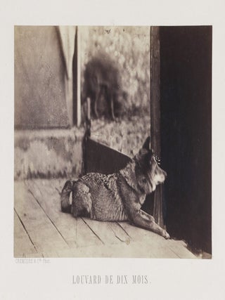 La Chasse du Loup (The Wolf Hunt) [SIGNED, W/ AN ADDITIONAL PHOTOGRAPH]