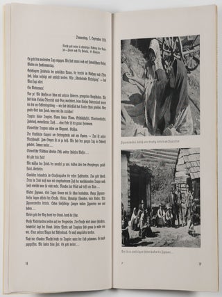 Der Polenfeldzug im Tagebuch eines Gebirgsartilleristen (The Poland Campaign in the Diary of a Mountain Artillery Soldier)