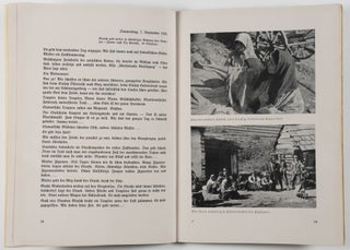 Der Polenfeldzug im Tagebuch eines Gebirgsartilleristen (The Poland Campaign in the Diary of a Mountain Artillery Soldier)