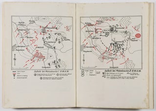 Der Polenfeldzug im Tagebuch eines Gebirgsartilleristen (The Poland Campaign in the Diary of a Mountain Artillery Soldier)
