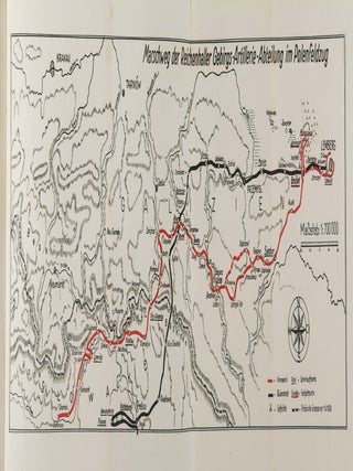 Der Polenfeldzug im Tagebuch eines Gebirgsartilleristen (The Poland Campaign in the Diary of a Mountain Artillery Soldier)