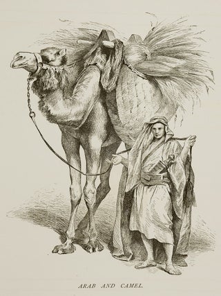 The Story of Ruth. From the Holy Bible