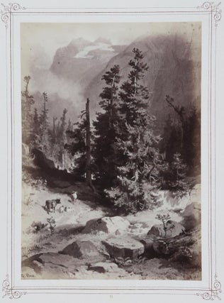 Item #54483 Rhododendron. Lake and Mountain Scenery of the Swiss Alps [W/ 24 ALBUMEN...