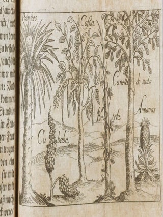 Hodaeporicon Indiae orientalis; das ist: warhafftige Beschreibung der ansehlich lobwürdigen Reysz (A Guidebook to the East Indies; that is, a Realistic Account of a Most Praiseworthy Journey)