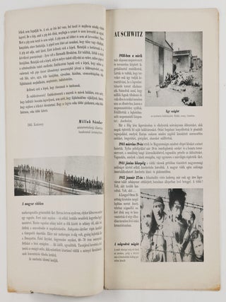 Képek az Elhurcoltakról. Auschwitz, Bergen-Belsen, Buchenwald, Dachau (Pictures of the Abductees)
