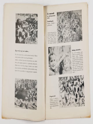 Képek az Elhurcoltakról. Auschwitz, Bergen-Belsen, Buchenwald, Dachau (Pictures of the Abductees)