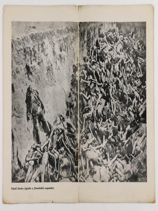 Képek az Elhurcoltakról. Auschwitz, Bergen-Belsen, Buchenwald, Dachau (Pictures of the Abductees)