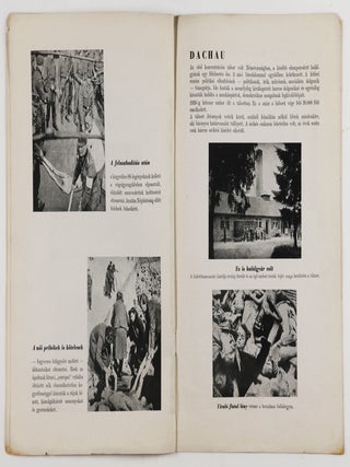 Képek az Elhurcoltakról. Auschwitz, Bergen-Belsen, Buchenwald, Dachau (Pictures of the Abductees)