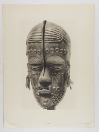 Les Arts Sauvages Afrique