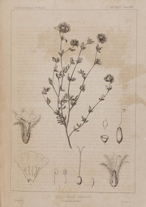 Reports of Explorations and Surveys, to Ascertain the most Practicable and Economical Route for a Railroad from the Mississippi River to the Pacific Ocean. Made Under the Direction of the Secretary of War, in 1853-4, According to Acts of Congress of March 3, 1853, May 31, 1854, and August 5, 1954... Vol. II