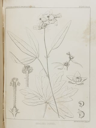 Reports of Explorations and Surveys, to Ascertain the most Practicable and Economical Route for a Railroad from the Mississippi River to the Pacific Ocean. Made Under the Direction of the Secretary of War, in 1853-4, According to Acts of Congress of March 3, 1853, May 31, 1854, and August 5, 1954... Vol. II