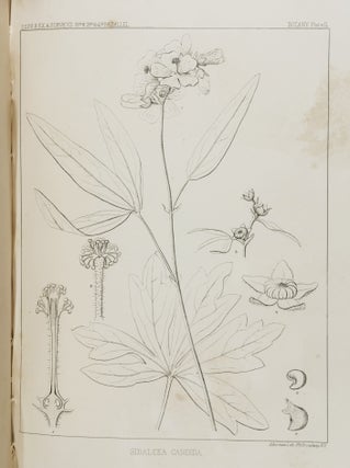 Reports of Explorations and Surveys, to Ascertain the most Practicable and Economical Route for a Railroad from the Mississippi River to the Pacific Ocean. Made Under the Direction of the Secretary of War, in 1853-4, According to Acts of Congress of March 3, 1853, May 31, 1854, and August 5, 1954... Vol. II