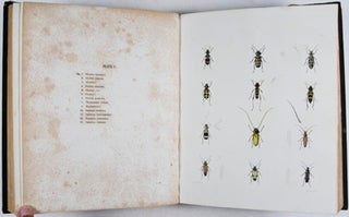 Agriculture of New York: Comprising an Account of the Classifications, Composition and Distribution of the Soils and Rocks, and of the Climate and Agricultural Productions of the State; Together with Descriptions of the More Common and Injurious Species of Insects; Volume V.