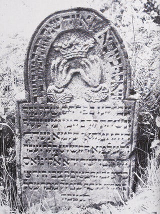Item #8066 Jewish Cemeteries in Bohemia and Moravia. Jan Herman